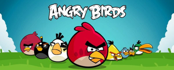 Bắt gặp chim cú cau có được xem là Angry Bird phiên bản đời thực