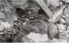 Bộ xương phát hiện dưới giếng tại lâu đài Sverresborg, Na Uy.