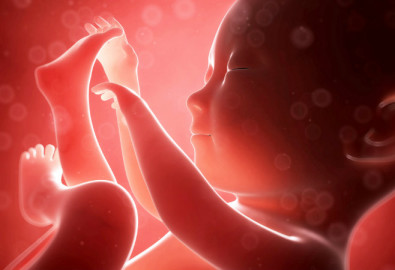 FETUS-shutterstock_128569892-WEBONLY