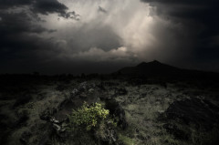 dark-skies-shutterstock_86844088-WEBONLY