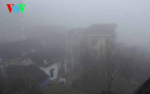 sapa