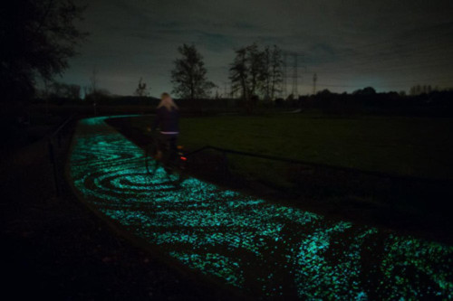 Đẹp ngỡ ngàng con đường phát sáng ở Hà Lan - 11