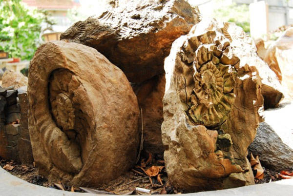 Hòn đá phát sáng bí ẩn trong bóng đêm ở Đồng Nai