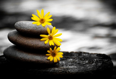 1382597957_nice_photography_wallpaper