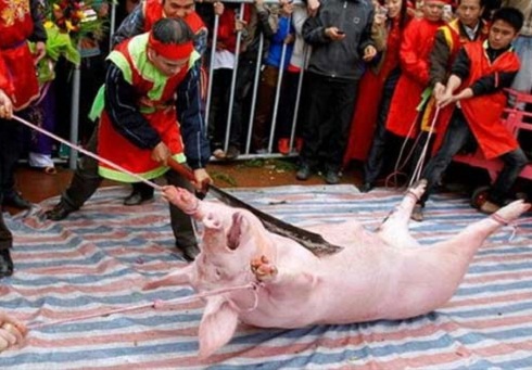 Nghi thức chém lợn của Lễ hội Chém lợn.