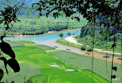 dong phong nha