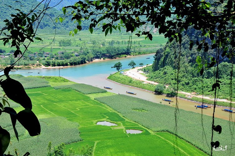 dong phong nha