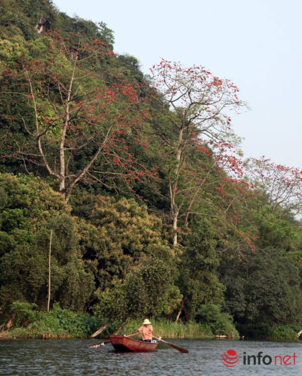 Hà Nội tháng Ba, miên man mùa hoa gạo - 11