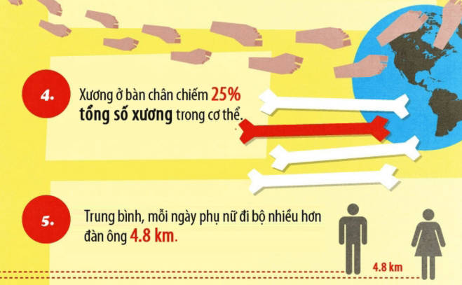 17 sự thật ít biết về bàn chân