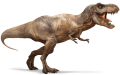 tyrannosaurus-rex-detail-header