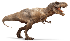 tyrannosaurus-rex-detail-header