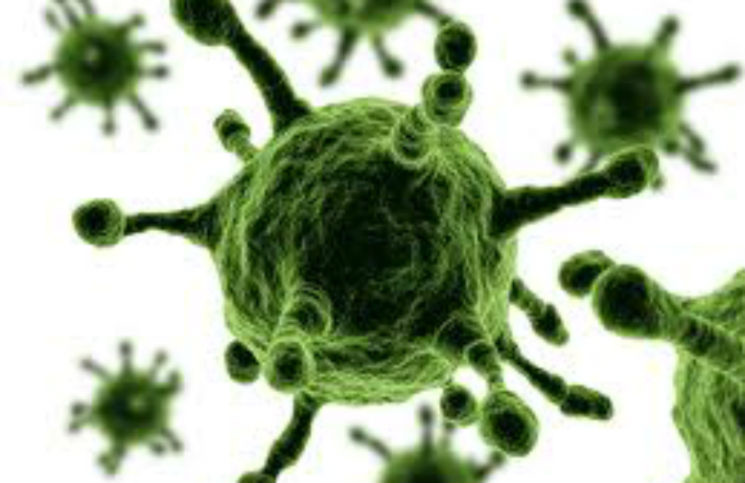 Virus MERS dưới kính hiển vi, loại coronavirus có tỷ lệ tử vong cao là 36%. (imagekb)