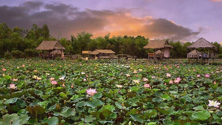 Những hồ sen đẹp nhất Việt Nam « Tin Đa Chiều