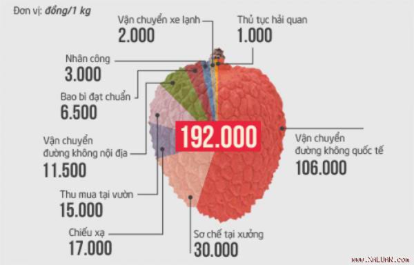 Được thu mua tại vườn với giá 15.000 đồng, vải tới sân bay Mỹ có giá thành 192.000 đồng, tương đương hơn 8 USD một kg. Đồ họa: Việt Chung