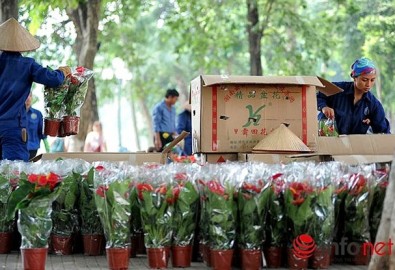 Theo ghi nhận của PV Infonet, hoa trồng xung quanh Hồ Gươm được đựng hoàn toàn trong những thùng giấy có in chữ Trung Quốc. Ảnh infonet