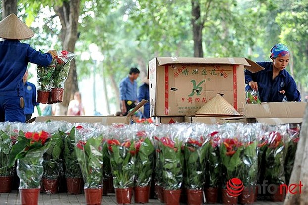 Hoa Trung Quốc