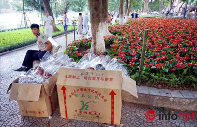 Những thùng đựng hoa toàn có nhãn hiệu Trung quốc Những thùng đựng hoa toàn có nhãn hiệu Trung quốc