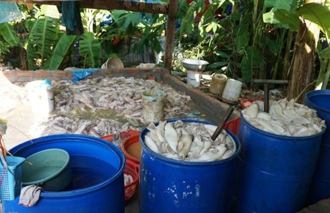Chuyện người Việt đầu độc người Việt đầu độc, thuốc trừ sâu, Thực phẩm bẩn, người việt, muc, hoa chat,