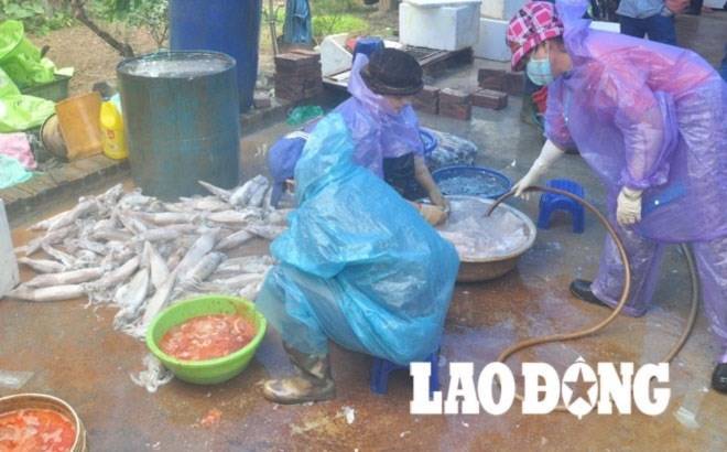 Chuyện người Việt đầu độc người Việt đầu độc, thuốc trừ sâu, Thực phẩm bẩn, người việt, muc, hoa chat,