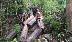 Vũ Đình Lộc (24 tuổi, trú tại xã Uar, huyện Krông Pa) - chủ nhân trang Facebook Vũ Đình Lộc đã tung hình ảnh những cây gỗ sau khi chặt được cắt thành từng khúc dài 2,5-3m lên facebook. Video và hình ảnh được chia sẻ tại một nhóm có hơn 76.000 thành viên tham gia. (Ảnh: Facebook)