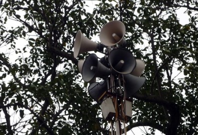 loa-phuong-3