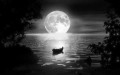 song-trang-2