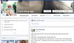 Facebook cánh đồng ngô. Ảnh nguoiduatin