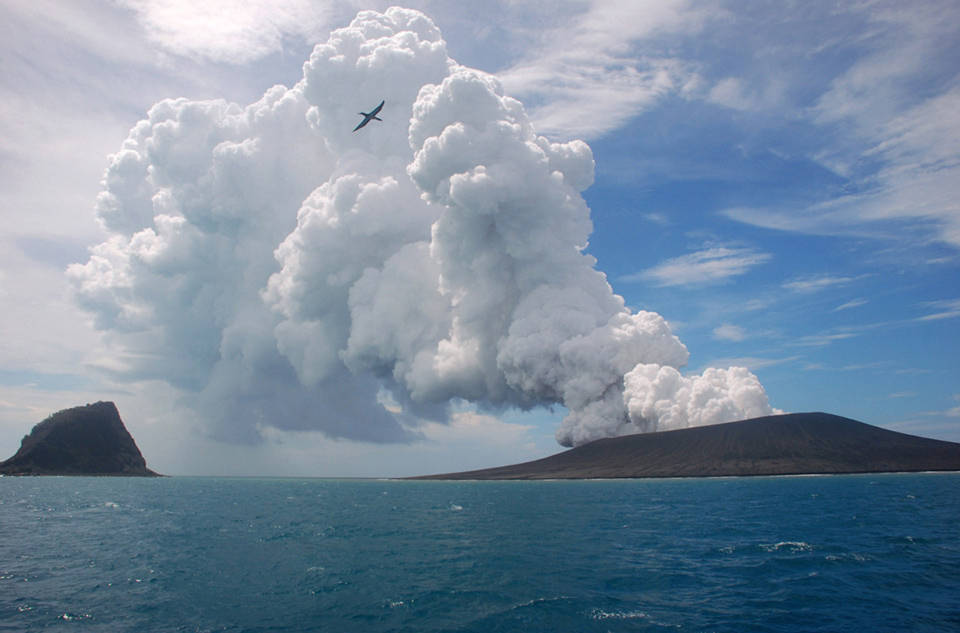  Bức ảnh được chụp vào ngày 17 tháng 01 năm 2015, từ một chiếc thuyền trên biển, cảnh một con chim chiến (frigatebird) bay lên trên luồng không khí nóng của hơi nước và gas phun trào từ núi Tonga, khoảng 65km về phía nam Thái Bình Dương, thủ đô Tonga, Nuku'alofa.