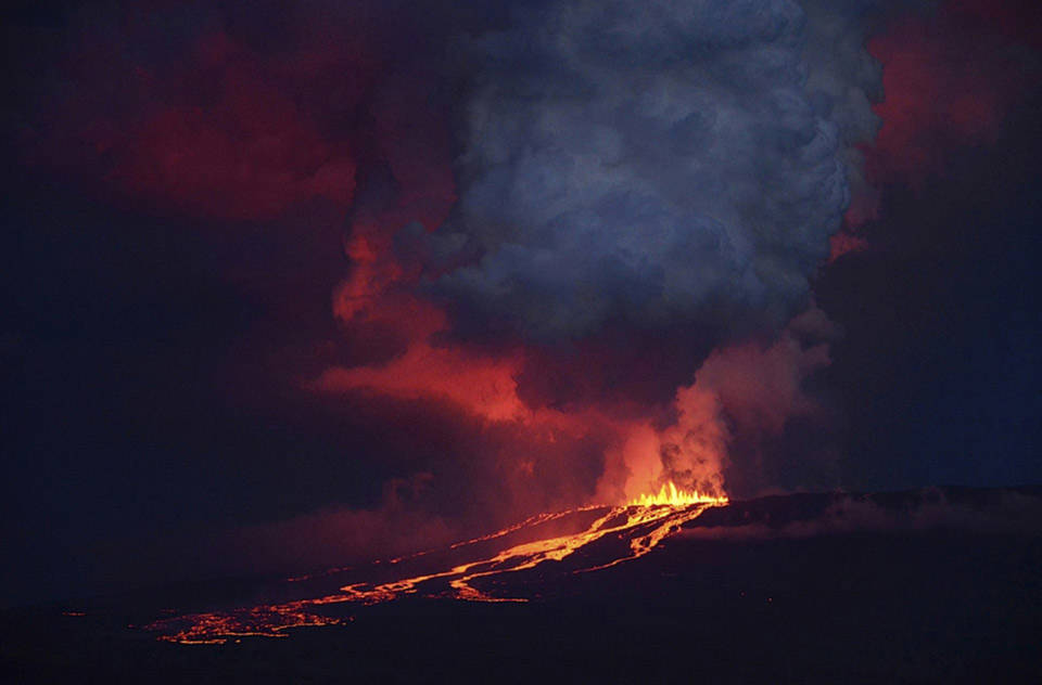Núi lửa Wolf phun khói và nham thạch trên đảo Isabela, ngày 25 tháng 05 năm 2015