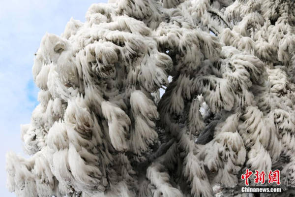 Trung Quốc đẹp như cõi mộng trong ngày tuyết rơi - Ảnh 7. Trung Quốc đẹp như cõi mộng trong ngày tuyết rơi - Ảnh 7.