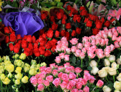 Dịp Valentine năm nay, hoa hồng tăng giá gấp 3 lần. Ảnh vnexpress