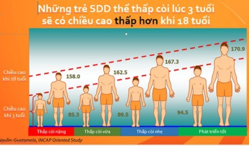 nguoi-viet-thap-lun-do-an-man-thua-dam-thieu-canxi