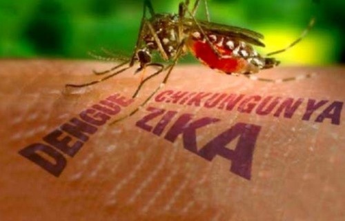 Việt Nam nâng mức cảnh báo virus Zika trong toàn ngành y tế - 1