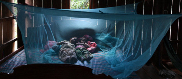 Dịch Zika xuất hiện ở Việt Nam: Dấu hiệu bệnh và cách phòng tránh - Ảnh 4. Dịch Zika xuất hiện ở Việt Nam: Dấu hiệu bệnh và cách phòng tránh - Ảnh 4.