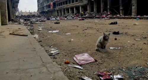 IS tấn công Aleppo, Syria bằng vũ khí hóa học - Ảnh 1