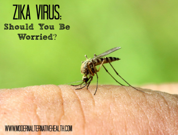 Tốc độ lây lan của virus Zika gây teo não đang đáng sợ đến mức nào? - Ảnh 1. Tốc độ lây lan của virus Zika gây teo não đang đáng sợ đến mức nào? - Ảnh 1.