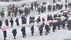 Dù trong giá rét của mưa tuyết, người Nhật vẫn xếp hàng trật tự. Ảnh duhochad