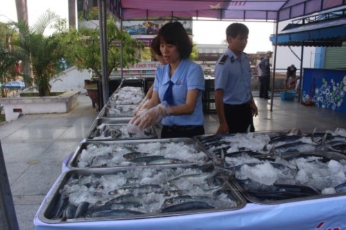 300 tấn cá sạch của ngư dân đã đến với bữa cơm của nhiều gia đình - Ảnh 7