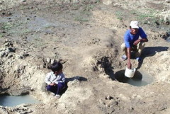 Hai cha con đang vét nước trên cánh đồng Bình Quý (Ninh Phước