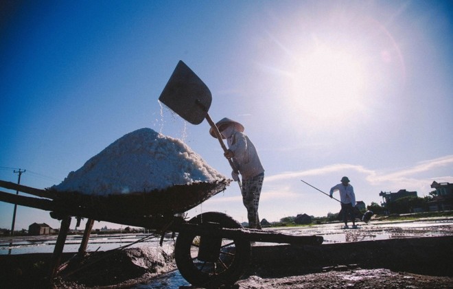 Cuộc sống diêm dân trên cánh đồng muối Nam Định