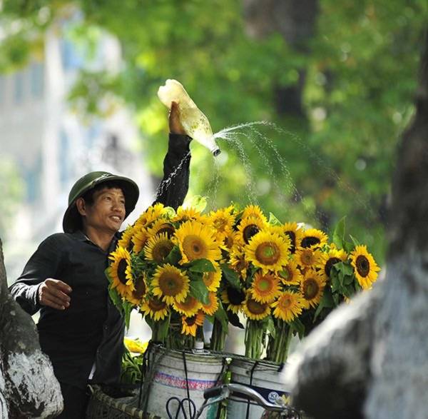 Vẻ đẹp mùa thu Hà Nội, 