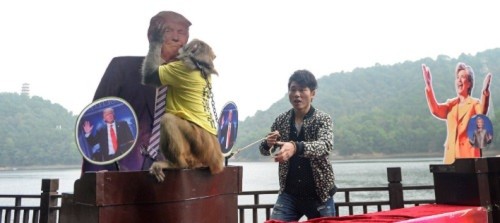 Gela, con khỉ trong công viên sinh thái Hồ Thạch Yến ở tỉnh Hồ Nam, Trung Quốc 