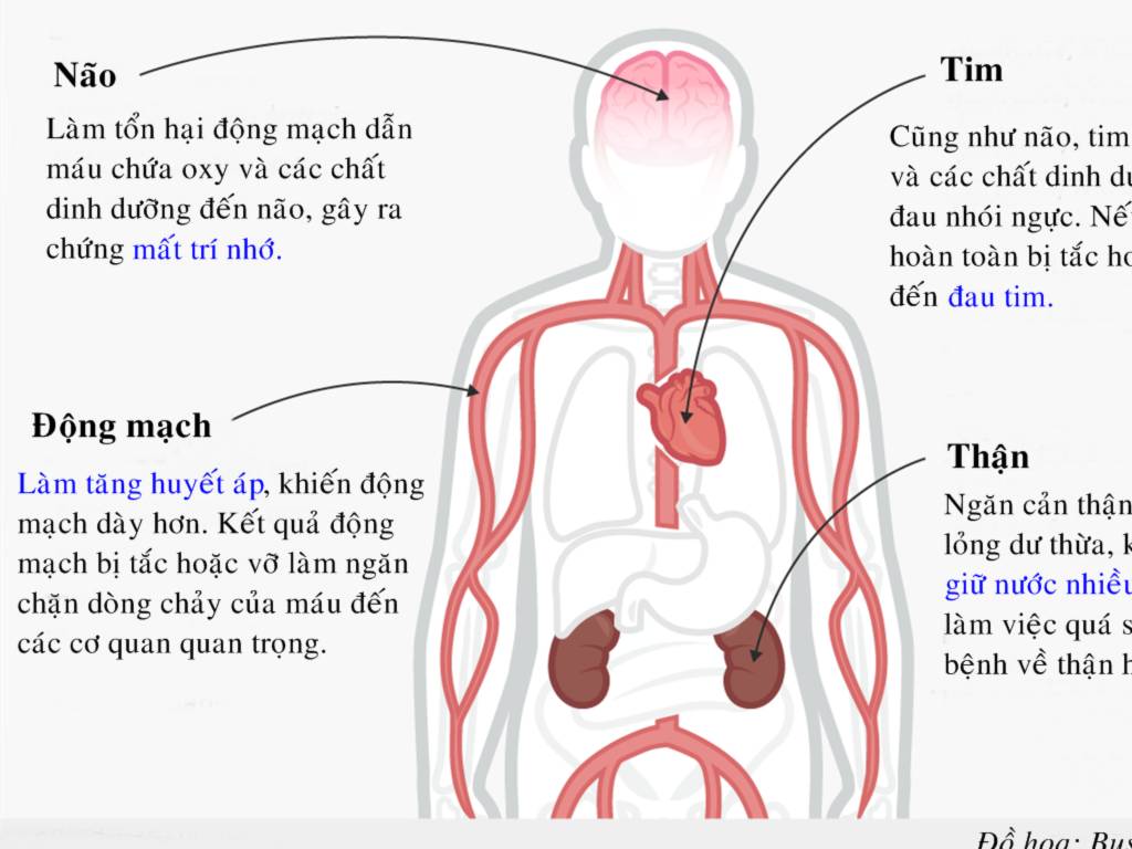 Hậu quả với cơ thể khi ăn quá nhiều muối