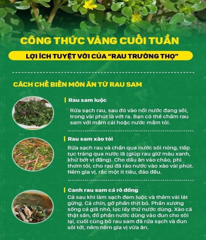 thảo dược, rau trường thọ, rau sam, 