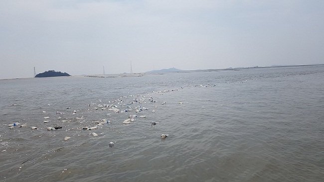 Các chai gạo được thả trên biển cho người dân Triều Tiên. (Ảnh: Lim Yun Suk/ CNA).