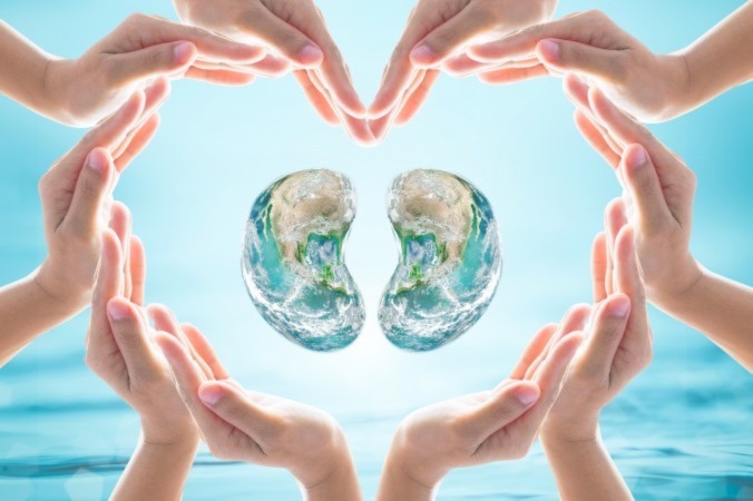 Trong Trung y, thận là cái gốc của cơ thể người (ảnh: Chinnapong/Shutterstock)