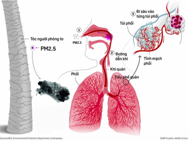 Loại bụi nguy hiểm nhất thế giới có mặt ở Hà Nội, thành phố Hồ Chí Minh có ảnh hưởng như thế nào? - Ảnh 2. Loại bụi nguy hiểm nhất thế giới có mặt ở Hà Nội, thành phố Hồ Chí Minh có ảnh hưởng như thế nào? - Ảnh 2.