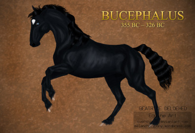 Bucephalus
