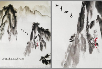 Bên dưới tấm hình viết hàng chữ: “‘Con chim với bộ lông màu trắng’ bị đụng chết ở bên ngọn núi này”. (Ảnh: Epoch Times)